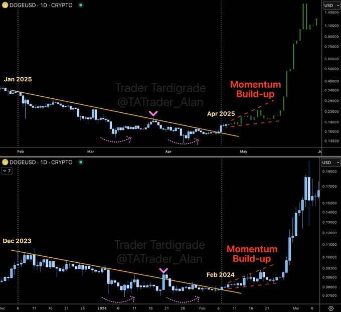DOGE Price Chart