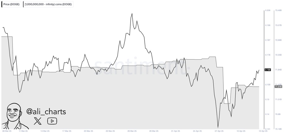doge price