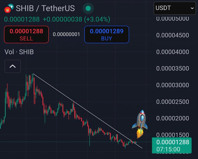 shiba inu price
