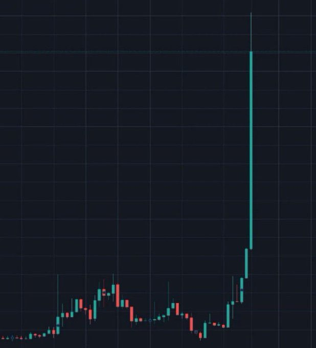 shib price