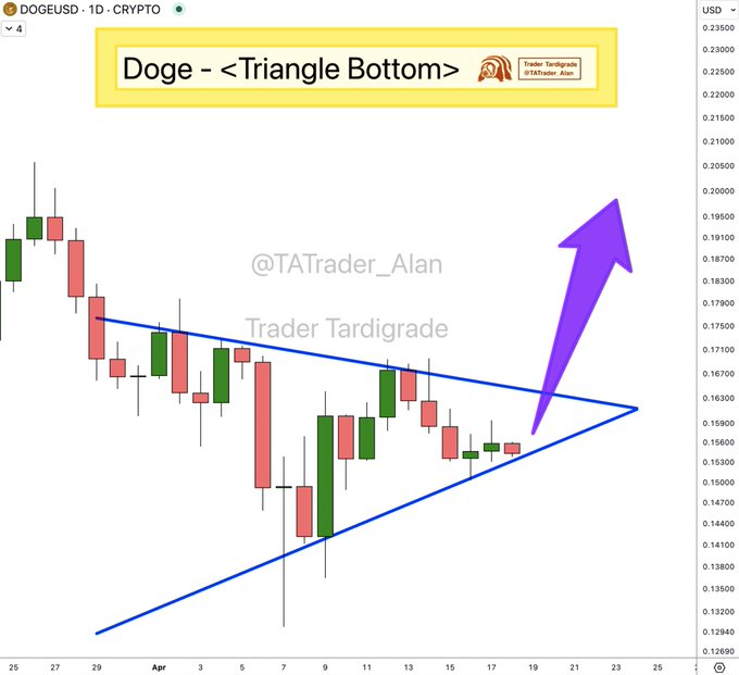 Doge usd
