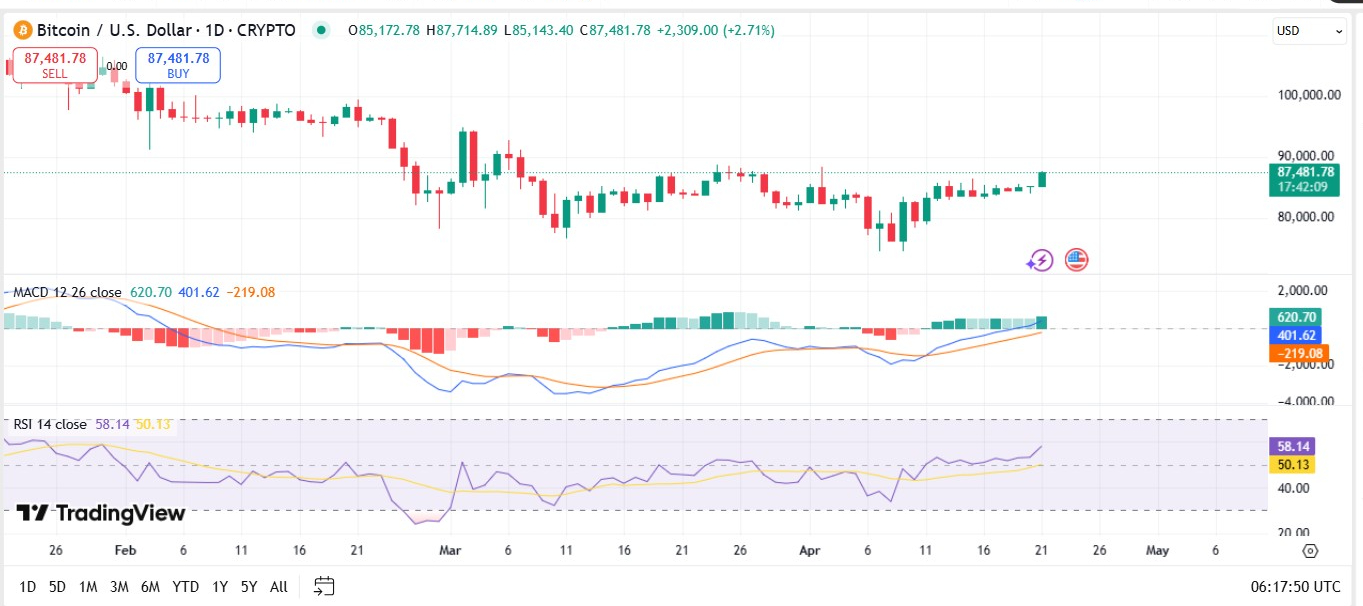 Bitcoin usd