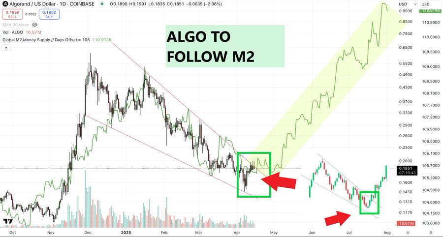 algorand prediction