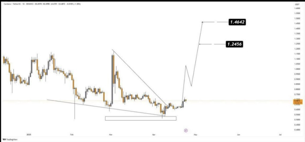 ada price chart