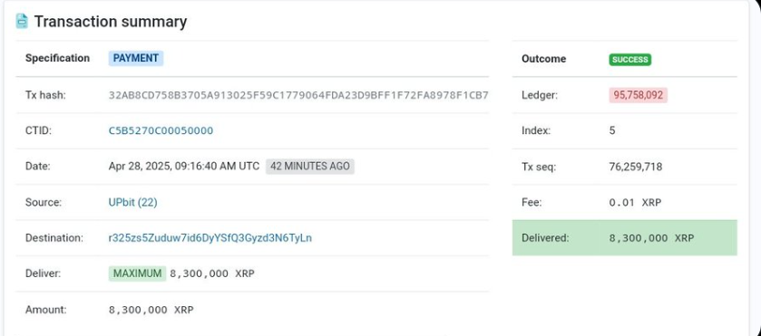 XRP Whale Movement