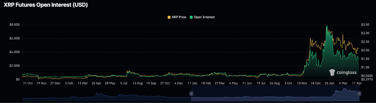 xrp future