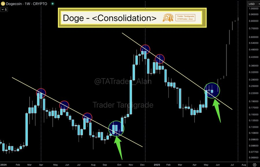 1-week DOGE Chart