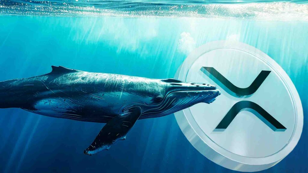 Whale Bets $12M On XRP After ETH Gains: Will It Pay Off?
