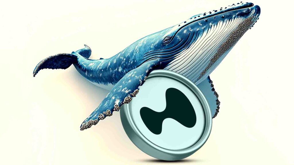 Hyperliquid Kurs erreicht ATH als Whale Short wird mit 5x Wette liquidiert