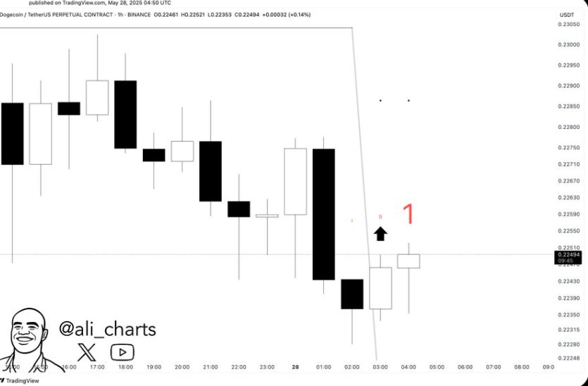 Dogecoin Price Chart