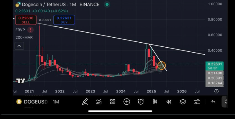 Dogecoin Price Chart