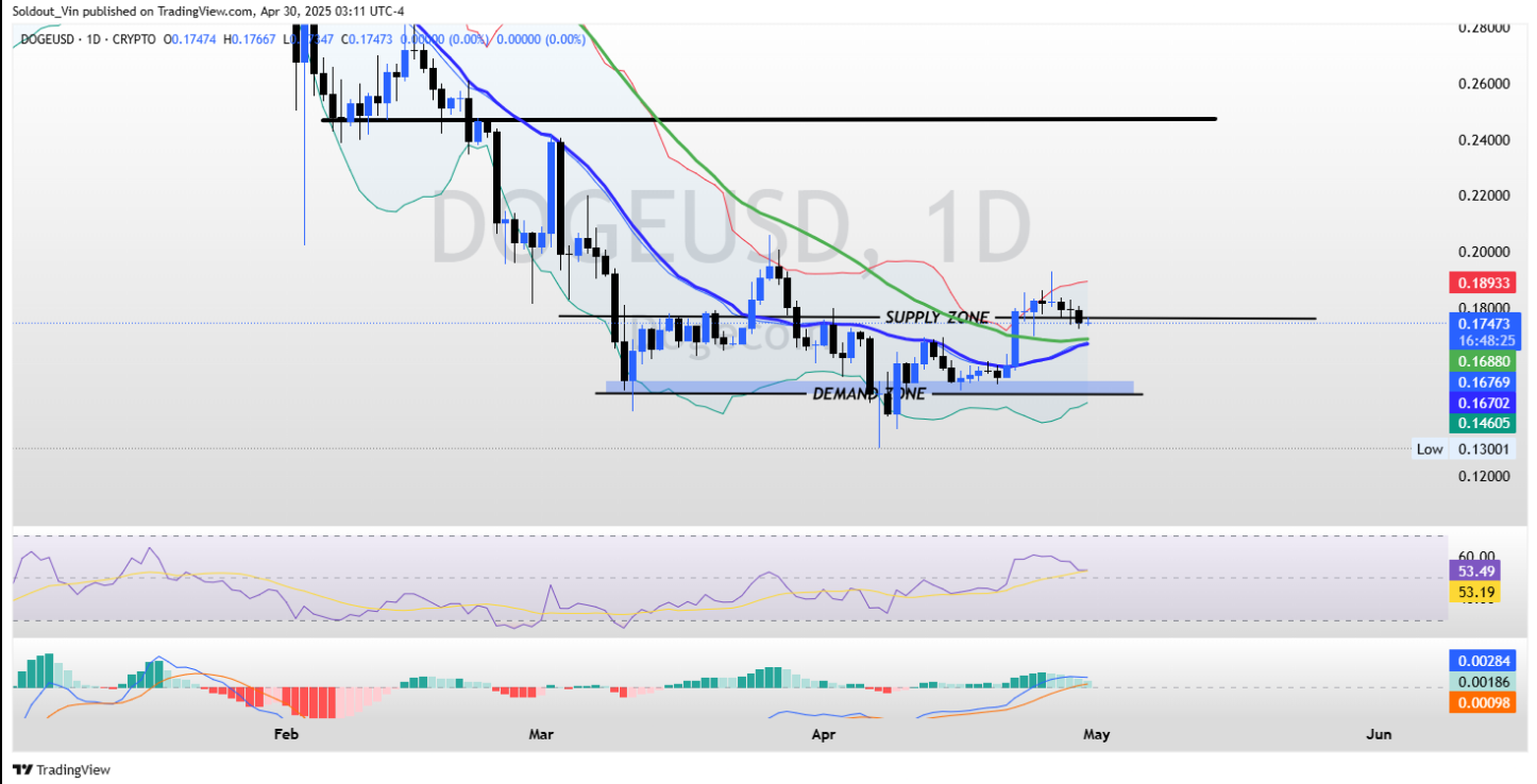 DOGE Prediction