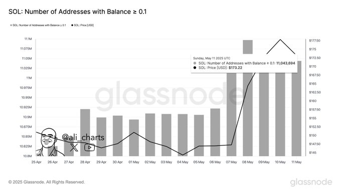 Number of Addresses with Balance >= 0.1 (SOL) 