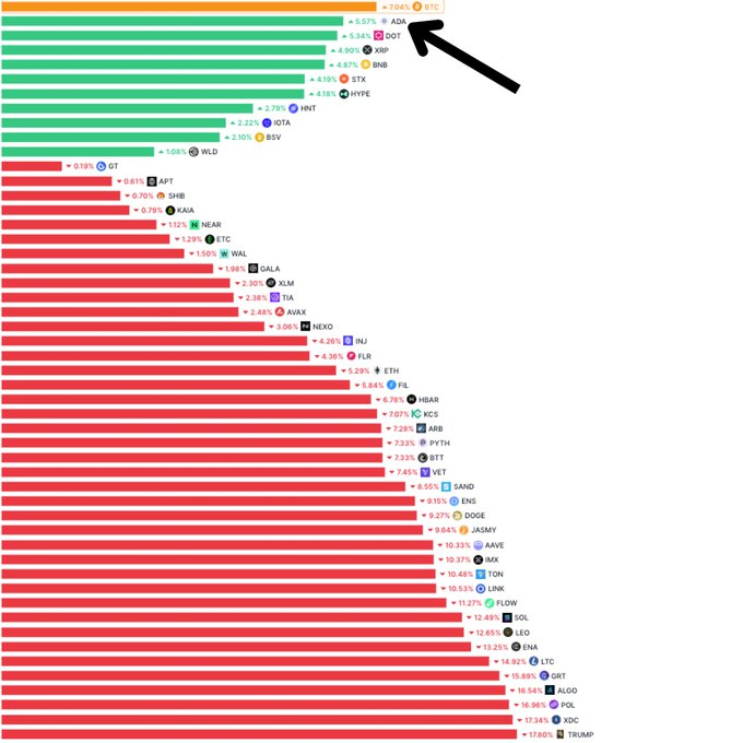 top gainers
