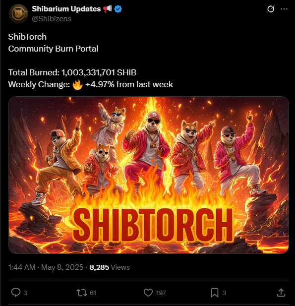 shib torch