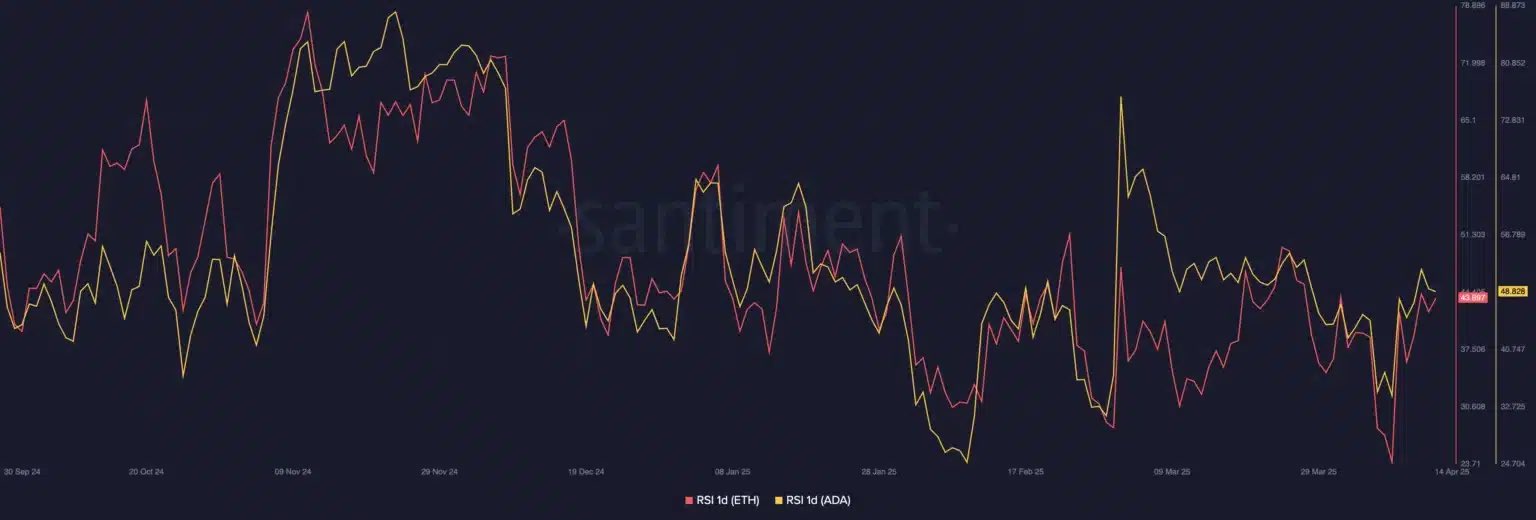 cardano price