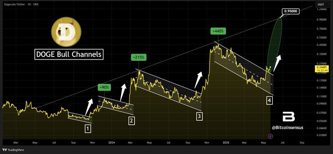 doge bull channel