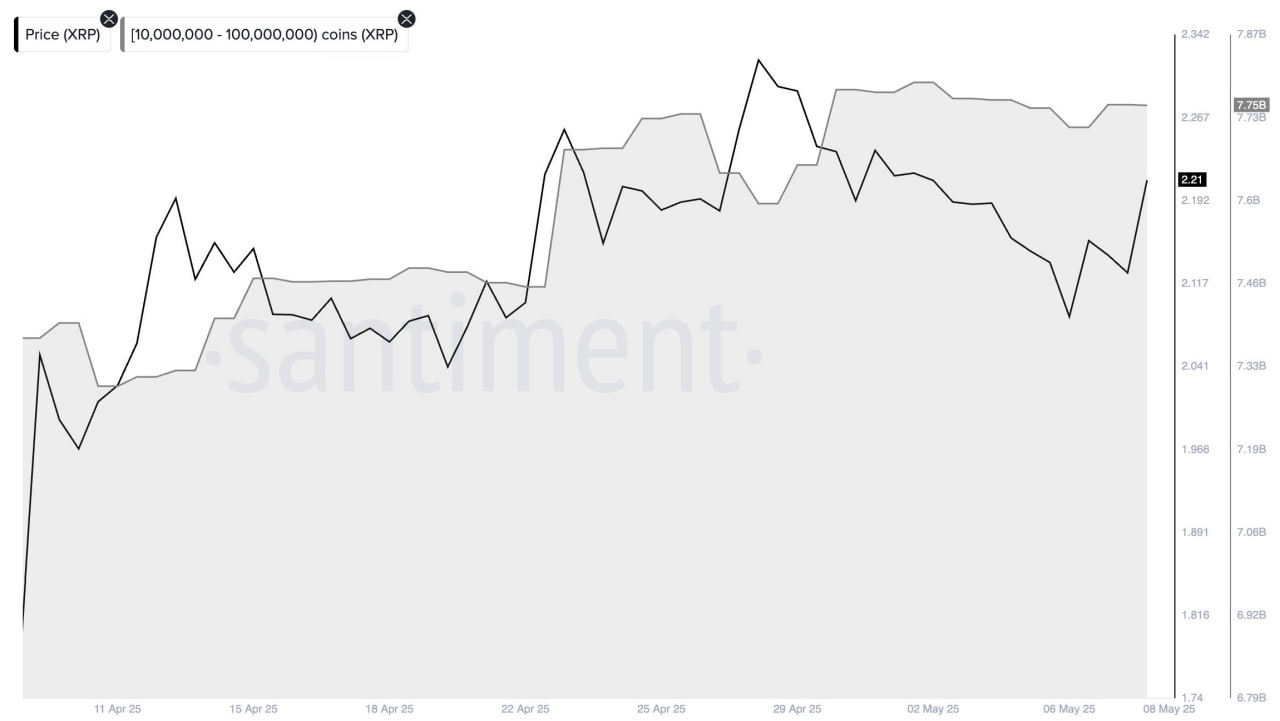 XRP Whale Accumulation