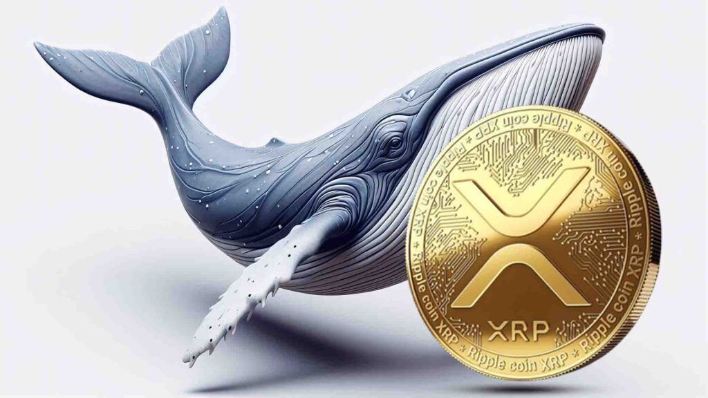 XRP Whales Rise as SRSI Signals Bullish Cross: History Repeats?