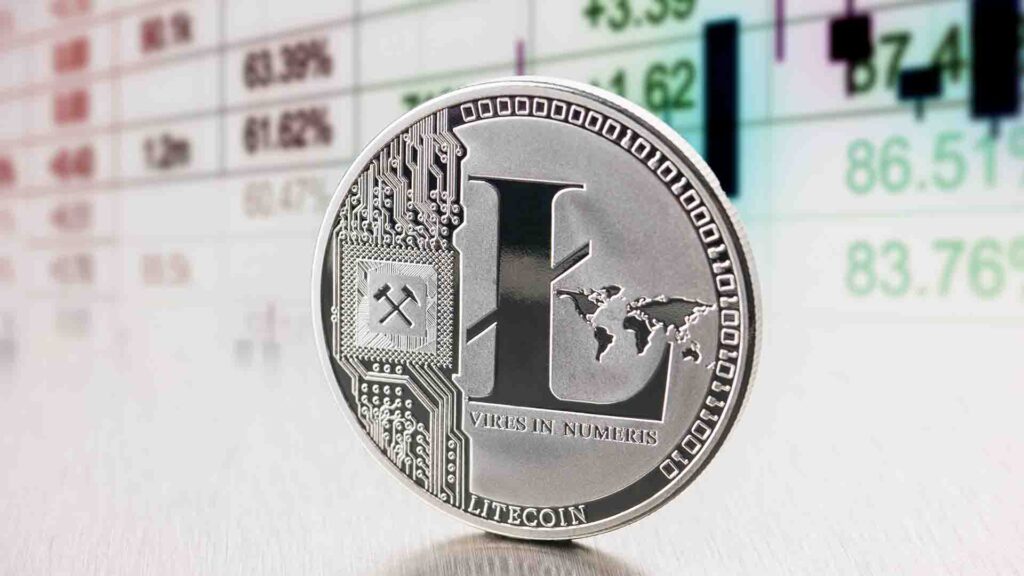 Litecoin Over Zcash, Canary Capital CEO Breaks Silence on Privacy Hype