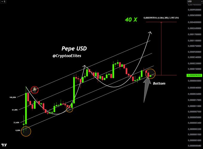 pepe usd