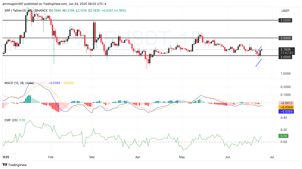 XRP Price Performance Chart