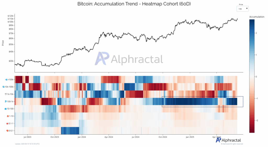 Bitcoin accumulation trend heatmap