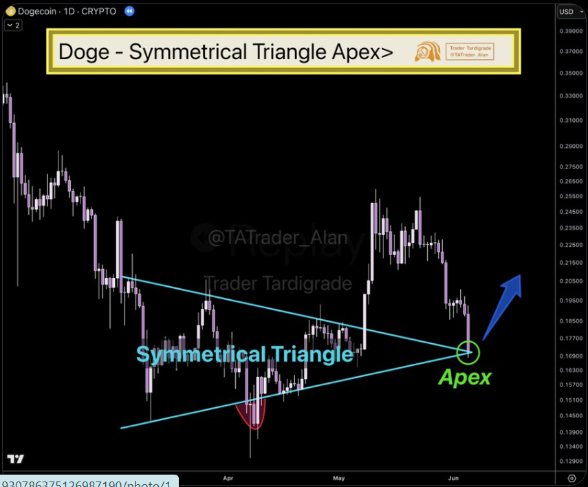 Dogecoin Price Chart 