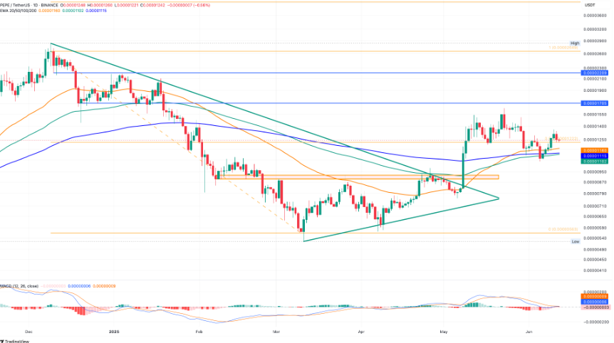 PEPE Coin Price Chart