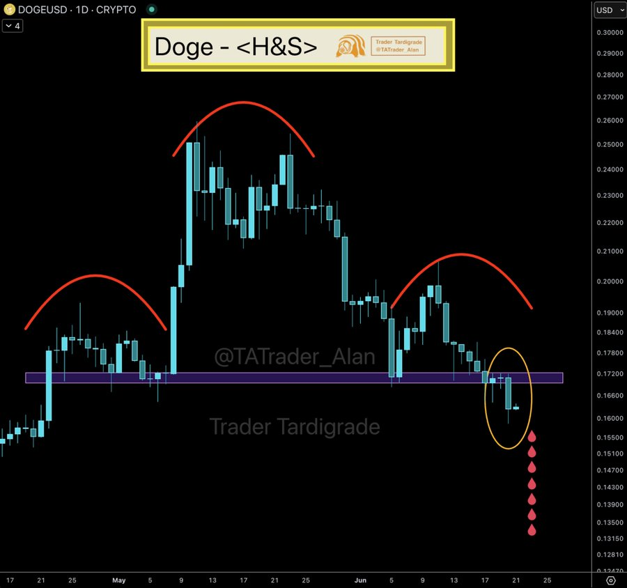 Doge coin price