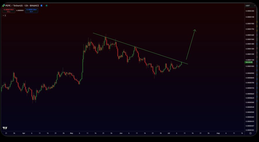Pepe Price 12-Hour Chart