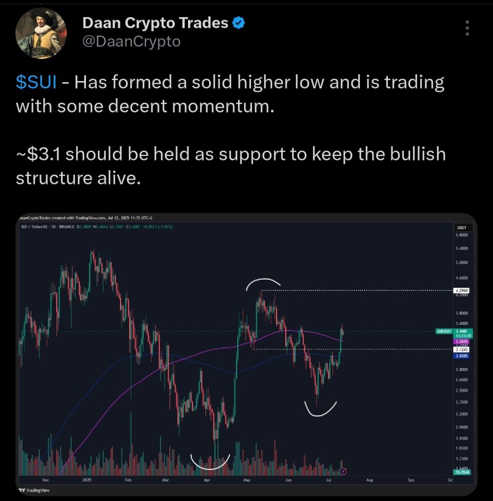 Expert view