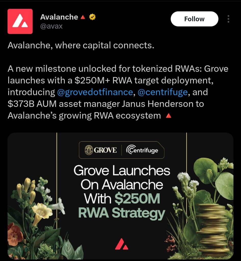 Avalanche x Grove RWA kitty