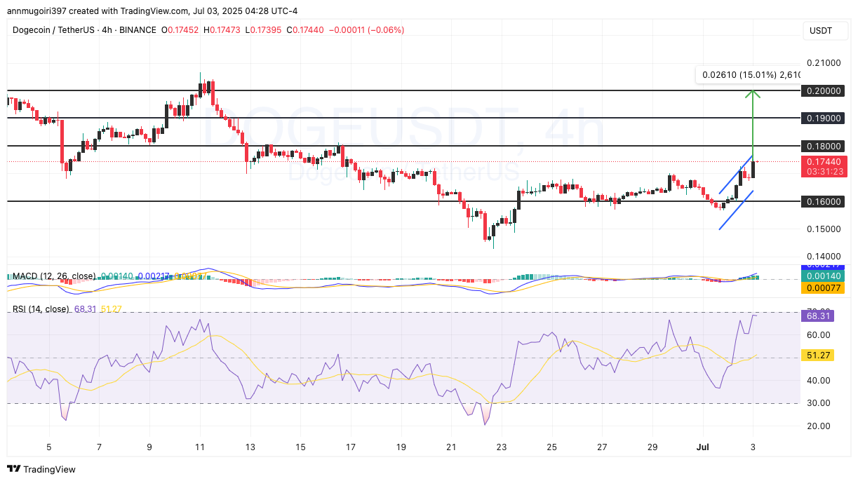 DOGE/USDT 4-hour price chart