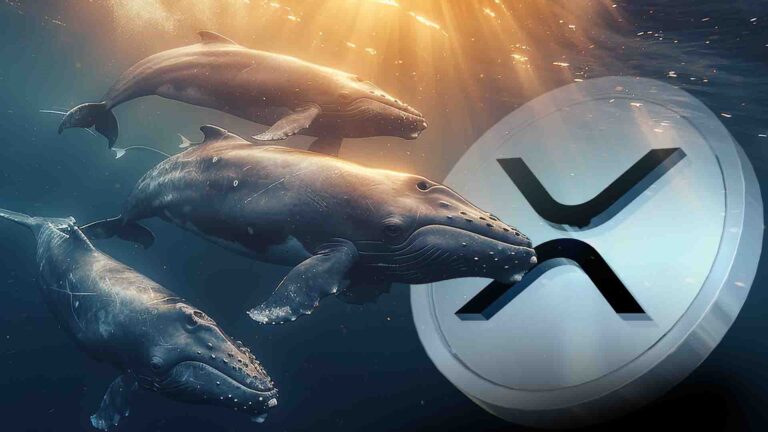 XRP Price
