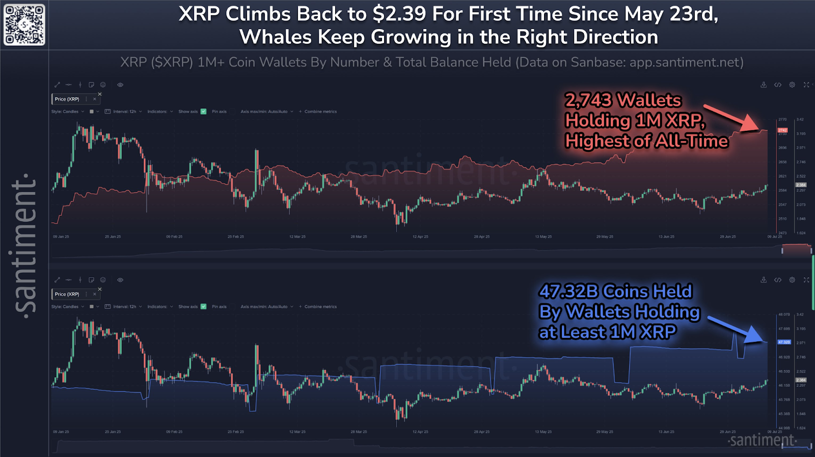 XRP Price Rebound 