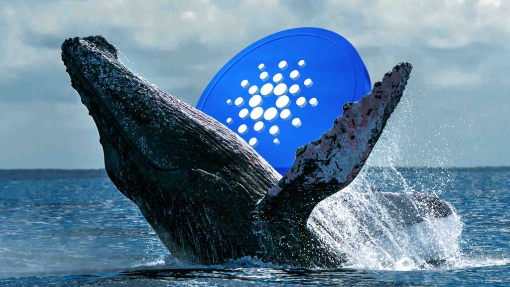 ราคา Cardano พุ่งแตะ 0.84 ดอลลาร์ ขณะที่วาฬสะสม ADA 120 ล้านตัว