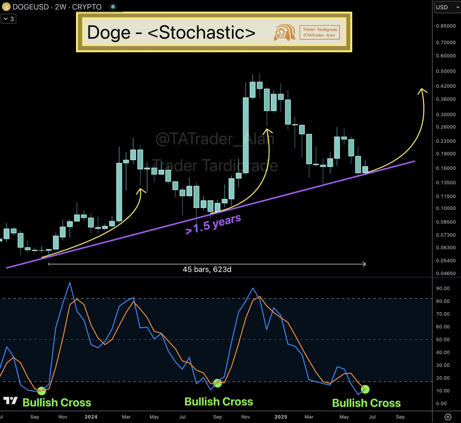Doge usd