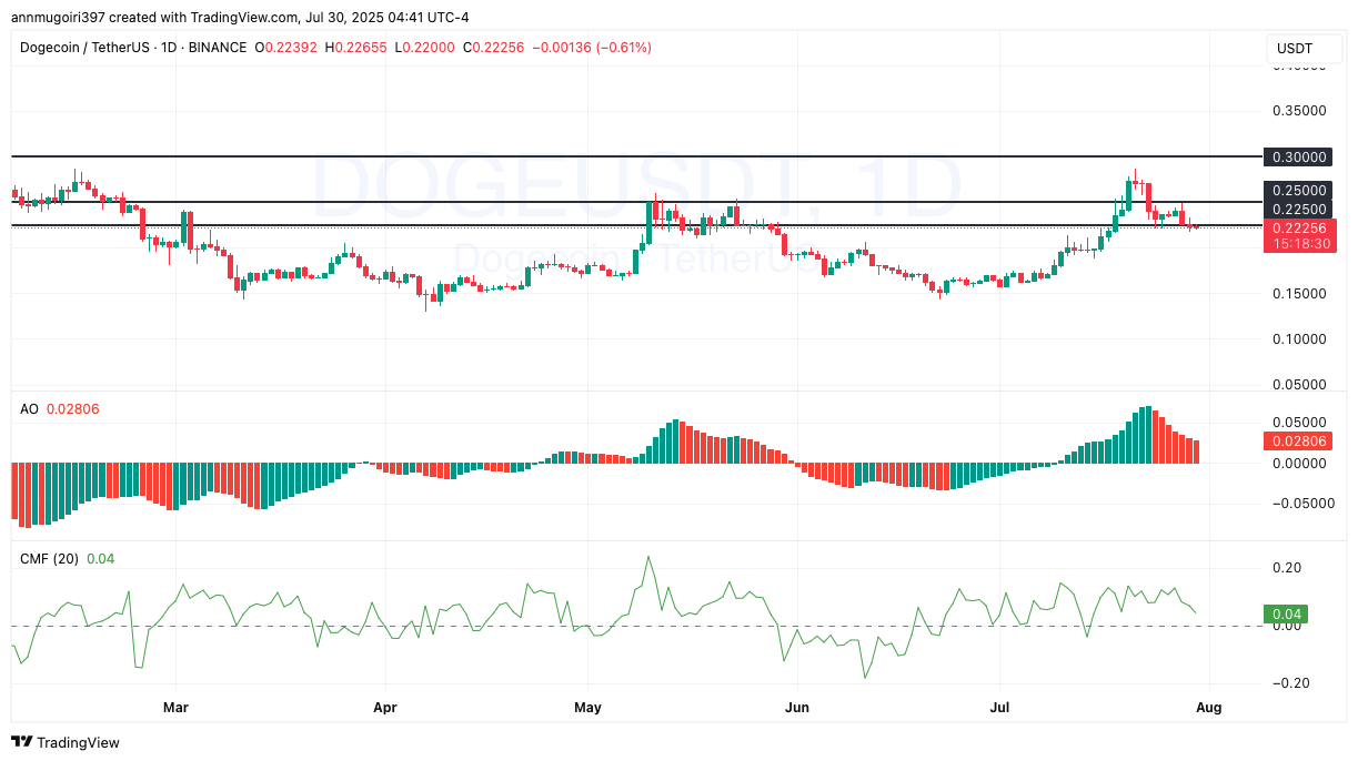 Дневной график DOGE/USDT | Источник: Tradingview