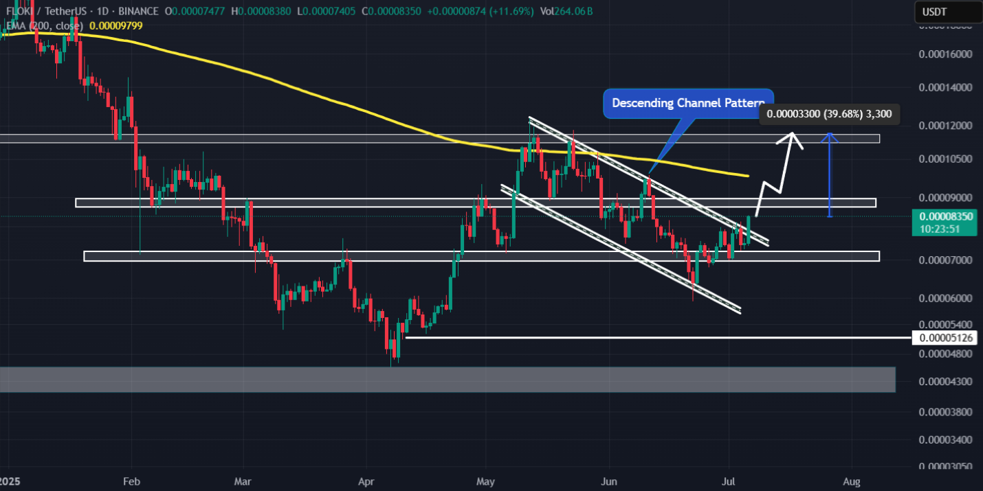 FLOKIUSDT daily chart