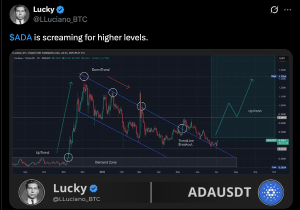 ADA Is creaming for higher level
