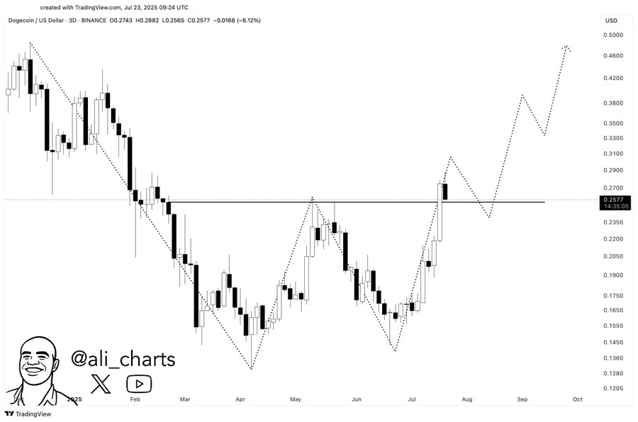 Dogecoin 3D Chart 