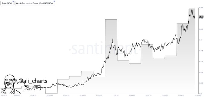 cardano price chart