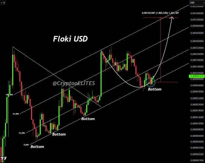Floki usd