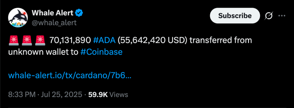ADA On-Chain Data 