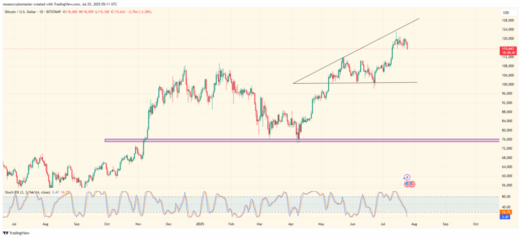 BTC/USD 1-day price chart