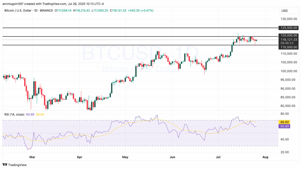 BTC/USD daily chart 