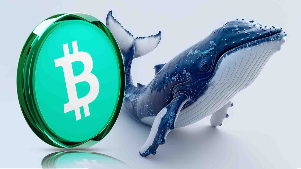 Bitcoin Cash Price Eyes 22% Surge if it Overcomes CEX Inflows, Whale Selling