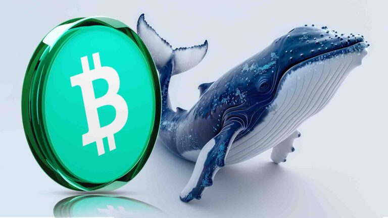 Bitcoin Cash Price