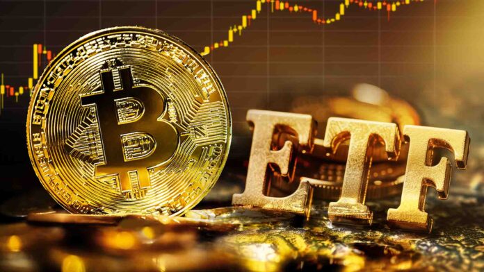 Биткоин-ETF занимают 30 % спотового рынка, в то время как объемы торгов резко сокращаются